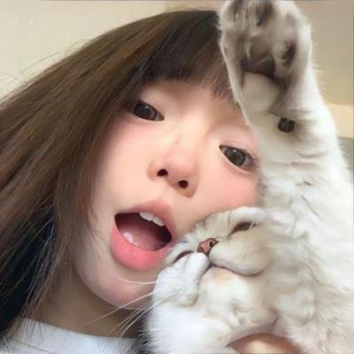迷蝶